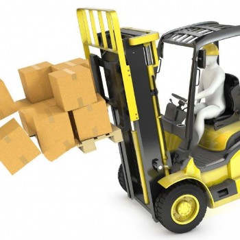 Forklift Safety Cyprus Skembedjis